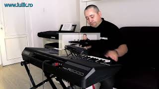 DEMO YAMAHA PSR A5000 [upl. by Cynde]