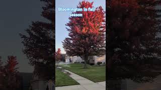 Bloomington in Fall season [upl. by Marola]