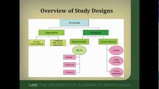 Cohort Studies A Brief Overview [upl. by Worlock507]