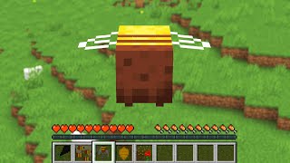 PLAY MINECRAFT AS A BEE [upl. by Gilmour]