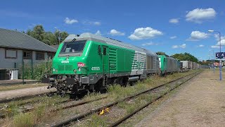 RheintalUmleiter 001 mit DIESELPOWER 2024 in Lauterbourg [upl. by Carol-Jean]