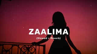 Zaalima Slowed and Reverb  Raees  Arijit Singh amp Harshdeep Kaur [upl. by Anairda166]