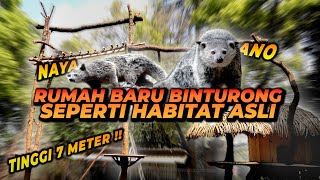 REVIEW RUMAH BARU BINTURONG SETINGGI 7 METER  NAYA LANGSUNG NAIK KE PALING ATAS [upl. by Aenal200]