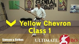 Bo Staff Class for Complete Beginners  Yellow Chevron  Class 1 [upl. by Asilram572]