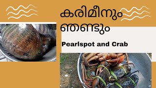 കരിമീനും ഞണ്ടും pearlspot and crab how to clean simple techniquecooking [upl. by Yla]