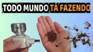 É só botar CRAVOS no RAID VAZIO e nunca mais sofrer com pernilongos mosquito da dengue inseticida [upl. by Marb]