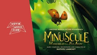 Mathieu Lamboley  Chenilles urticantes  From the movie quotMinuscule Mandibles From Far Awayquot [upl. by Mycah]