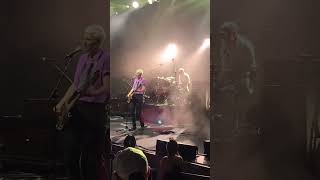 The Pixies  Where is My Mind live clip  Cadence Bank Amphitheatre  Atlanta Georgia [upl. by Henka]