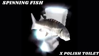 spinning fish but its polish toilet [upl. by Oicor]