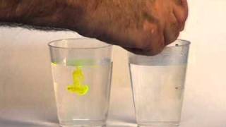 85 Mixing of a Dye in a Liquid by Diffusion amp Convectionmpg [upl. by Muller]