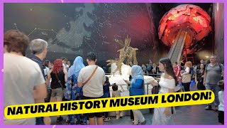 Natural History Museum London tour london [upl. by Nnaharas665]