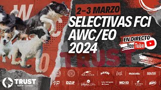 V Selectiva AWCEO [upl. by Nibur]