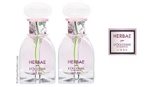 Herbae par LOccitane Leau New Perfume [upl. by Akemehc275]