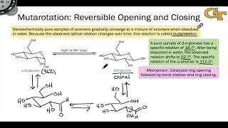 1605 Anomers Mutarotation and the Anomeric Effect [upl. by Yliah211]