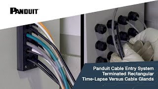 Panduit Cable Entry System Terminated Rectangular TimeLapse Versus Cable Glands [upl. by Amhsirak79]