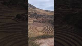 Sitio Arqueológico de Moray  Cusco ✨  Perú 🇵🇪 shorts peru cusco travel [upl. by Kos]