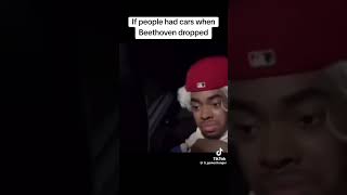 POV Beethoven dropped meme fypシ゚viral viralshorts viralvideo fyp [upl. by Mavis433]