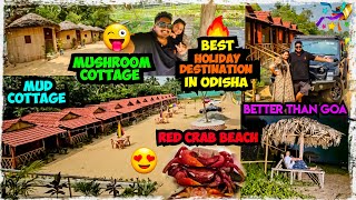 BEST HOLIDAY DESTINATION IN ODISHA 😍 OCEAN BREEZE retreat Odia bhaina vlogs Odia vlogs [upl. by Pennebaker60]