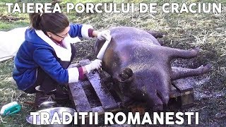 Taierea si Transarea Porcului de Craciun  Traditii Romanesti de Ignat Eng Sub [upl. by Akinirt]