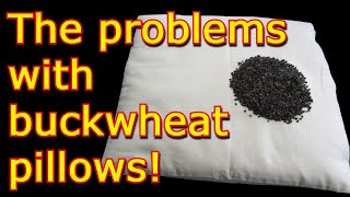 Buckwheat Pillow Review 2023  Watch Before Buying a Sobakawa Buckwheat Hull Pillow [upl. by Jemma395]