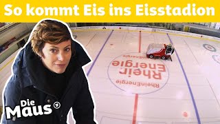 Wie kommt das Eis ins Eisstadion  DieMaus  WDR [upl. by Jemine271]