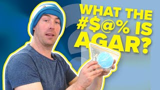 Agar for Mushrooms Cultivation Explained Types Uses and Tips  Aussie Mushroom Supplies [upl. by Frierson783]