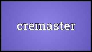 Cremaster Meaning [upl. by Pronty]