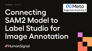 Connecting SAM2 Model to Label Studio for Image Annotation [upl. by Esra]