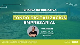 Fondo Digitalización Empresarial [upl. by Noval]