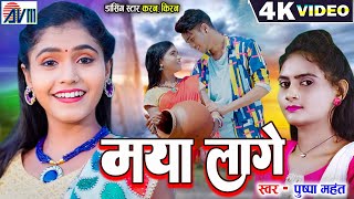 Karan Kiran  Pushpa Mahant  Cg Song  Maya Lage  Chhattisgarhi Gana  पुष्पा महंत  Dj Song 2023 [upl. by Alliehs]