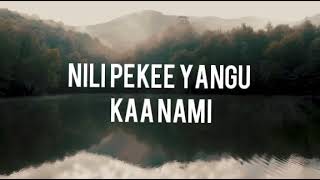 KAA NAMI BY ANGELA CHIBALONZA  OFFICIAL LYRIC VIDEO [upl. by Pedaiah663]