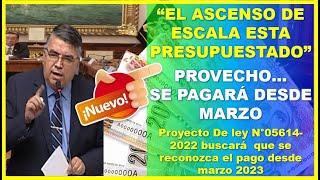 😱 PROVEECHOO DOCENTES QUE ASCENDIERON DE ESCALA COBRARAN DESDE MARZO Proyecto de Ley N°056142022 [upl. by Atiuqiram]