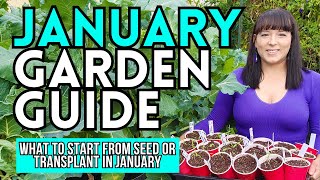 January Garden Guide What To Start From Seed Or Plant NOW garden gardeningtips vegetablegarden [upl. by Settle]