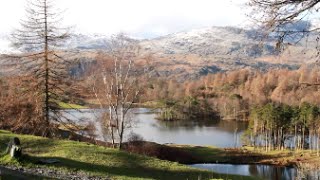 Lake District Walks Tarn Hows [upl. by Lahcear]