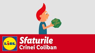 Care sunt alimentele care produc gaze și colici la copii • Sfaturile Crinei Coliban [upl. by Nolra]