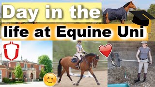 A DAY IN THE LIFE at Hartpury Equine University  Ride Every Stride [upl. by Nosam]