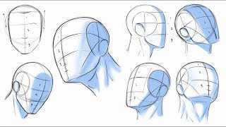 How to Draw Heads  Dividing it Into Thirds [upl. by Anallij966]