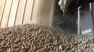 Farm Basics 748  What Is A Bushel Air Date 8512 [upl. by Rabin]