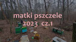 Matki pszczele Buckfast 2023  pawluknetpl cz1 [upl. by Hall]