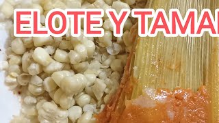 ELOTE Y TAMAL [upl. by Arehc]