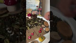 Fungithemed maths activity🍃🍄maths numeracy earlyyearsideas natureplay learningthroughplay [upl. by Rodmun804]