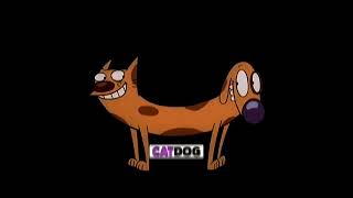 catdog  intro slowed  reverb [upl. by Ttocserp]