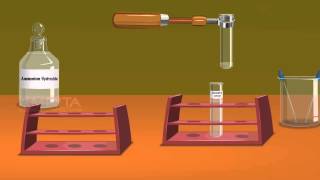 Detection of Elements Lassaigne’s Test  MeitY OLabs [upl. by Seadon]