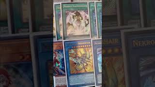 NEKROZ Deck Recipe November 2024 yugioh [upl. by Anhavas]