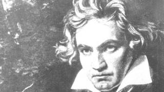 Ludwig van Beethoven  5 Sinfonie  Satz 1 [upl. by Asiilanna]