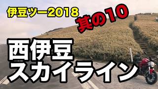 西伊豆スカイライン！〜伊豆ツー2018其の10〜 DUCATIモンスター797 [upl. by Hew]