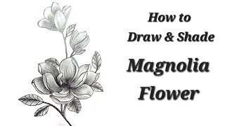 How to Draw amp Shade a beautiful flower  Easy BeginnerFriendly Tutorial [upl. by Teilo644]