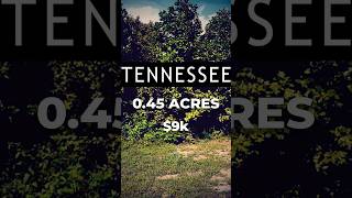 Land for Sale 045 Acres in TN [upl. by Accalia]