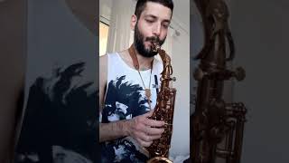 The wonderful P MauriatGrand Dreams 285 cognac lacquer alto sax [upl. by Nodyarg551]