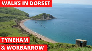 WALKS IN DORSET at TYNEHAM THE quotGHOSTquot VILLAGE amp WORBARROW BAY THE JURASSIC COAST 4K [upl. by Docile834]